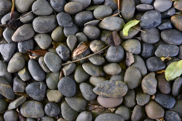 Grito de rocha — Fotografia de Stock