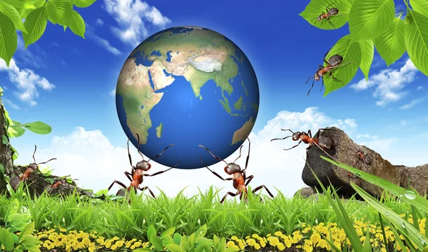 Mrówka moc zapisać elementy ziemi - usa, ten obraz — Zdjęcie stockowe
