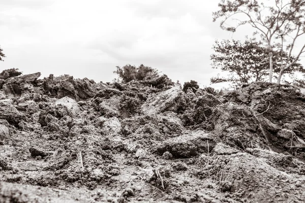 Campo de la naturaleza —  Fotos de Stock