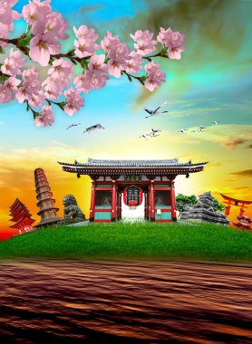 şaşırtıcı Japonya