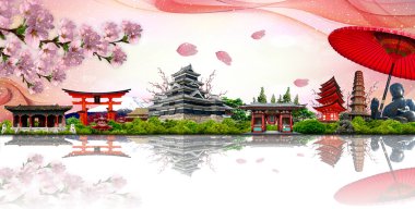 şaşırtıcı Japonya