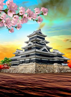 şaşırtıcı Japonya