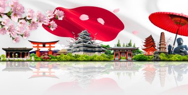 şaşırtıcı Japonya
