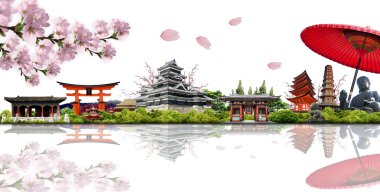 şaşırtıcı Japonya