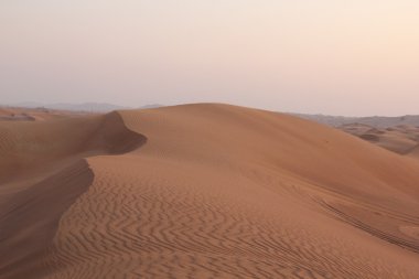 Safari dubai çöl