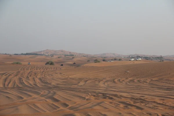 Safari en el desierto Dubai — Foto de Stock