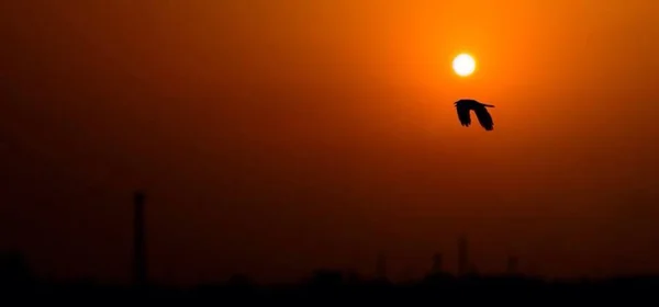 太陽セット ビュー — ストック写真