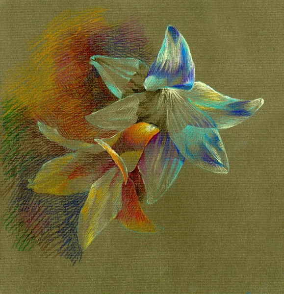 Dessin de fleur isolé sur papier couleur — Photo