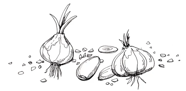 Knoblauch Illustration Zeichnung — Stockfoto