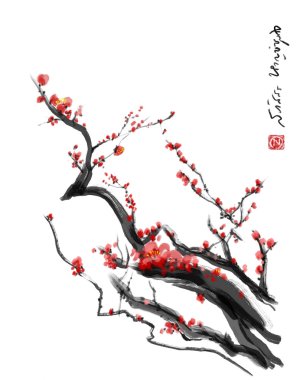 Sakura, vişne Erik çiçeği Çin fırça paintingred kiraz çiçeği Çin fırça boyama