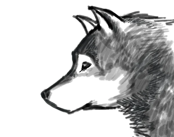 Snow wolf drawing Royalty Free Stock Images