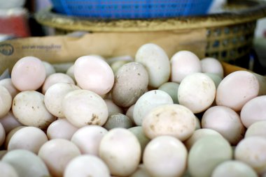 kirli organik yumurta pazarında kazık
