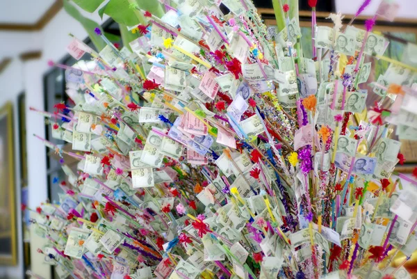 Thai buddhist money tree — Stock Photo, Image