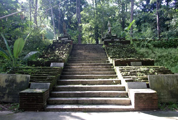 Steintreppe zum antiken buddhistischen Tempel — Stockfoto