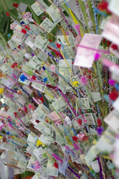 Árbol de dinero — Foto de Stock