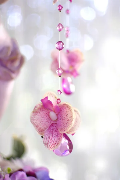 결혼식을 위한 장식 꽃과 구슬 커튼 — 스톡 사진