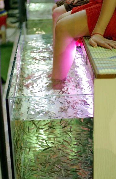 Rybí lázně nohou — Stock fotografie