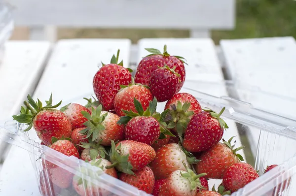 Pile of strawberries — Stock Photo, Image