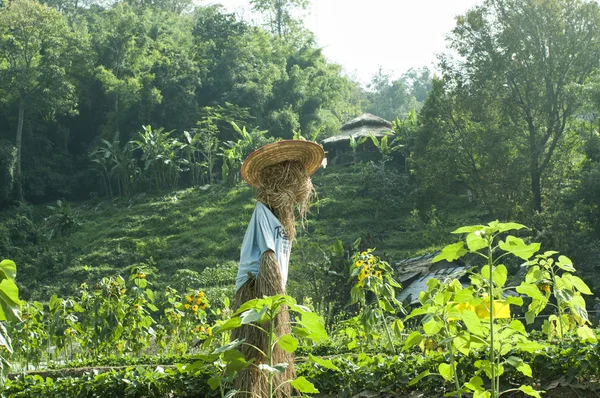 Scarecrow, straw man at the farm — Stock Photo, Image