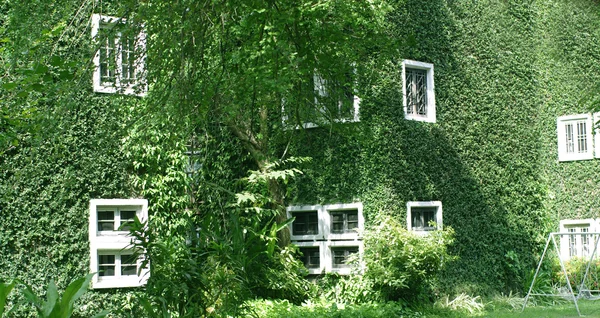 Gröna väggen på byggnaden — Stockfoto