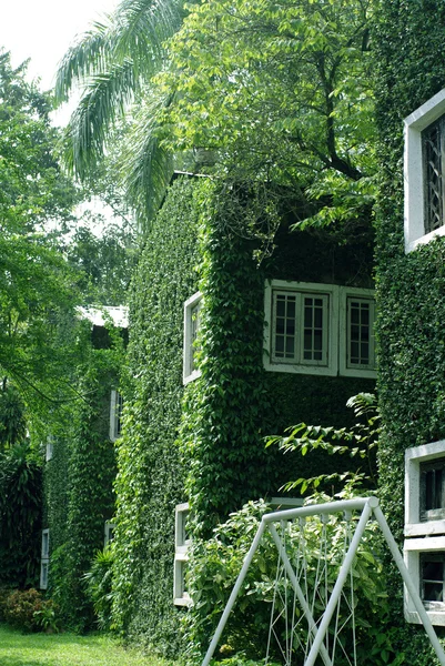 Gröna väggen på byggnaden — Stockfoto