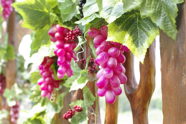 Grape on wine — Stock Photo, Image