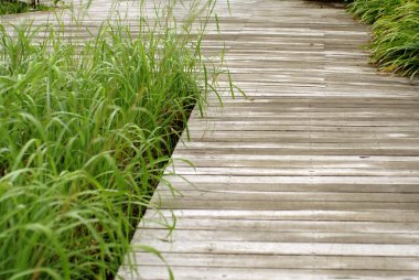 Bahçedeki ahşap yürüyüş yolu