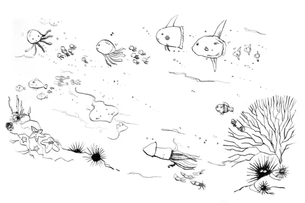 Sea creatures — Stock Photo, Image