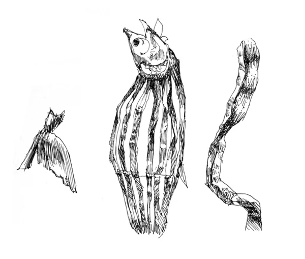 Dried salmon illustration — Stock Photo, Image