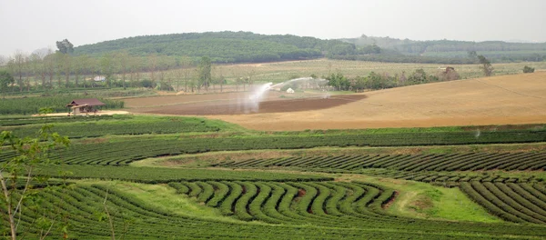 水系统的农业 — 图库照片