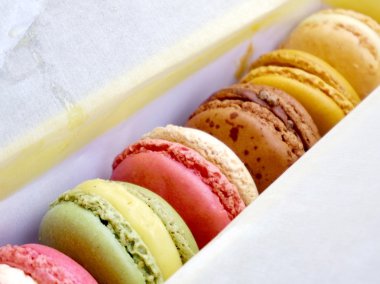 renkli Macaron tatlı
