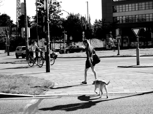 Promener le chien dans la ville — Photo