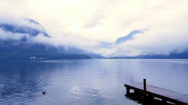 Beautiful calm cloudy lake with small port and duck — Stock Video