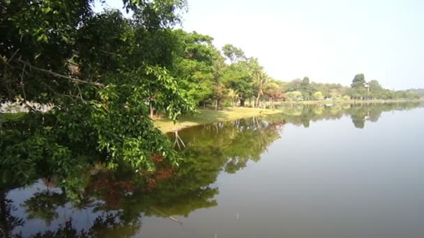 Lake and tree reflection on water surface, peaceful sunny place — Stock Video