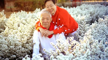 Beyaz Noel temalı Asyalı yaşlı bir çift. Aşk sarılması. Mutlu bir çiçek tarlası sabahı.