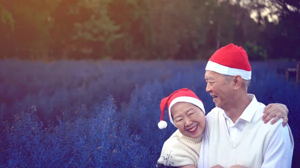 Szép Ázsiai Idősebb Pár Karácsonyi Ünneplés Piros Mikulás Claus Kalap — Stock Fotó