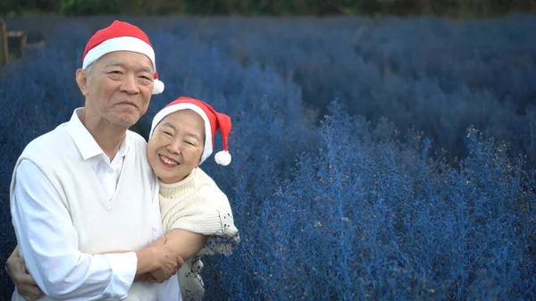 可爱的亚洲老年人夫妇圣诞庆祝活动 在神奇的紫色花田的早晨戴着红色的桑塔月桂冠 — 图库照片