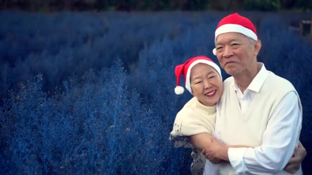Bella Felice Coppia Anziani Asiatici Celebrazione Natale Con Cappello Rosso — Video Stock