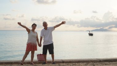 Asyalı yaşlı çift emeklilik, deniz gezisi sağlıklı ilişkiler ve finansal statü