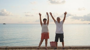 Asyalı yaşlı çift emeklilik, deniz gezisi sağlıklı ilişkiler ve finansal sorunlar.