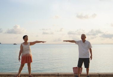 Asyalı yaşlı çift emeklilik, deniz gezisi sağlıklı ilişkiler ve finansal sorunlar.
