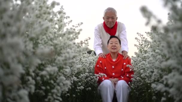 亚洲一对年长的夫妇穿着红圆点和围巾庆祝圣诞节和外面的假日 — 图库视频影像