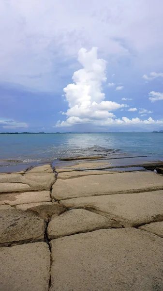 Shell Cemetery Kalksteen Oceaan Met Prachtige Blauwe Lucht Met Boomvorm — Stockfoto