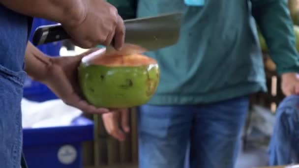 Mão Com Faca Cortada Manualmente Coco Fresco Verde Aberto Para — Vídeo de Stock