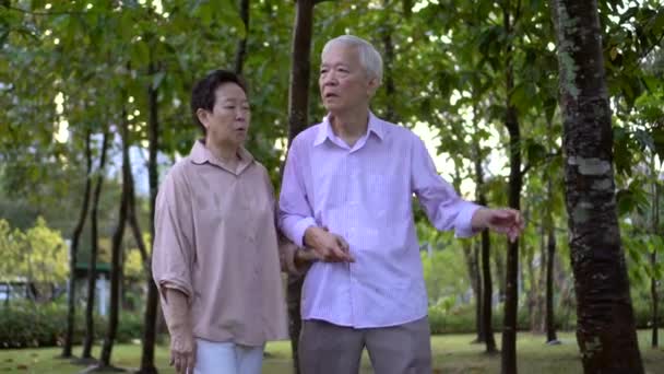 高齢者のための危険な身体的傷害を行使しながらアジアの高齢者の旅行のつまずき — ストック動画
