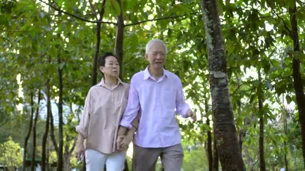 妻緊急援助で公園を歩きながらアジアの高齢者の心臓発作の失敗 — ストック動画