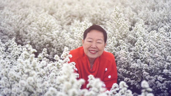 Aziatische Ouderen Senior Vrouw Rode Trui Kerst Nieuwjaar Bloemenveld Ochtend — Stockfoto