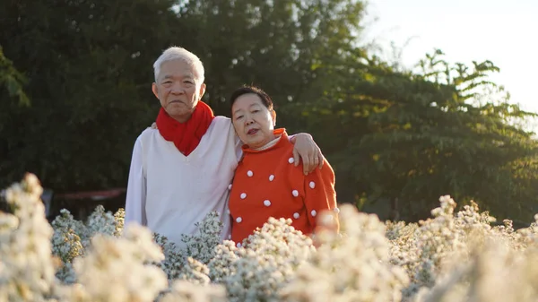 Senioren Ehepaar Feiert Neujahr Blumenfeld — Stockfoto