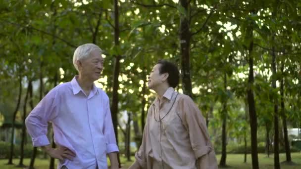 Азиатский Отдых Пожилых Пар Смеется Парке Природы — стоковое видео