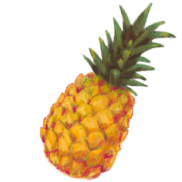 Sarı Ananas Tropik Yaz Tatili Meyveli Boyası Çizimi — Stok fotoğraf